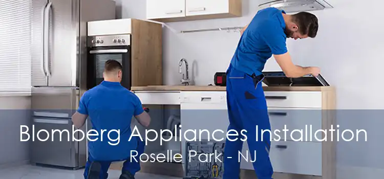 Blomberg Appliances Installation Roselle Park - NJ