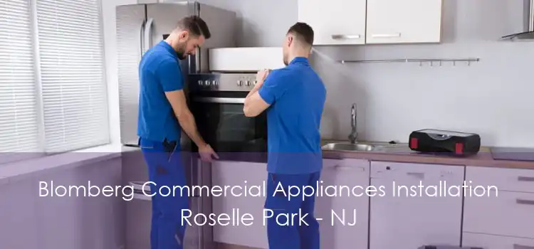Blomberg Commercial Appliances Installation Roselle Park - NJ