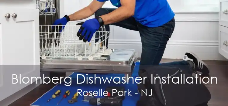 Blomberg Dishwasher Installation Roselle Park - NJ