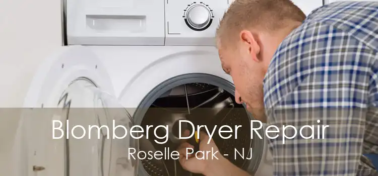 Blomberg Dryer Repair Roselle Park - NJ