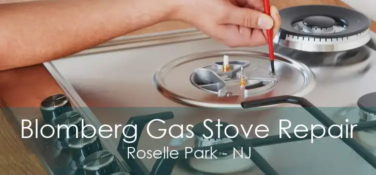 Blomberg Gas Stove Repair Roselle Park - NJ