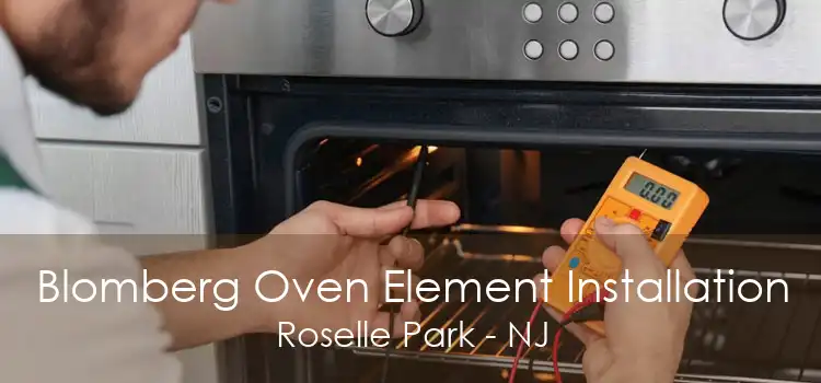 Blomberg Oven Element Installation Roselle Park - NJ