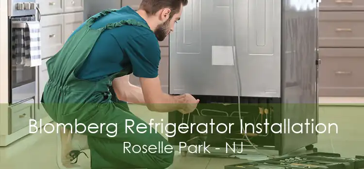Blomberg Refrigerator Installation Roselle Park - NJ