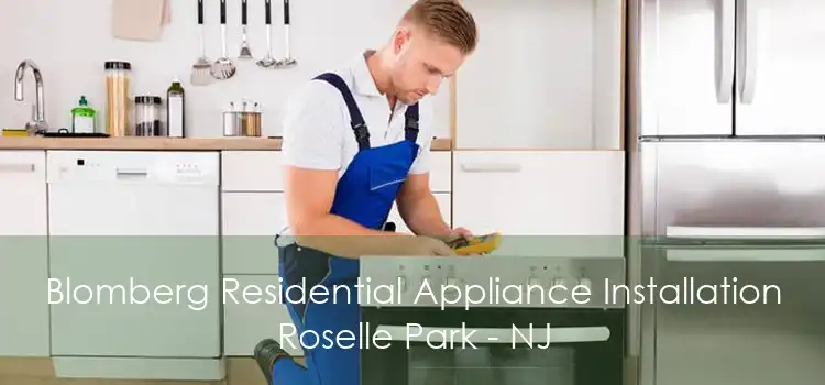 Blomberg Residential Appliance Installation Roselle Park - NJ