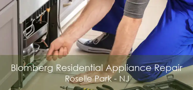 Blomberg Residential Appliance Repair Roselle Park - NJ