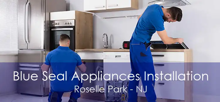 Blue Seal Appliances Installation Roselle Park - NJ
