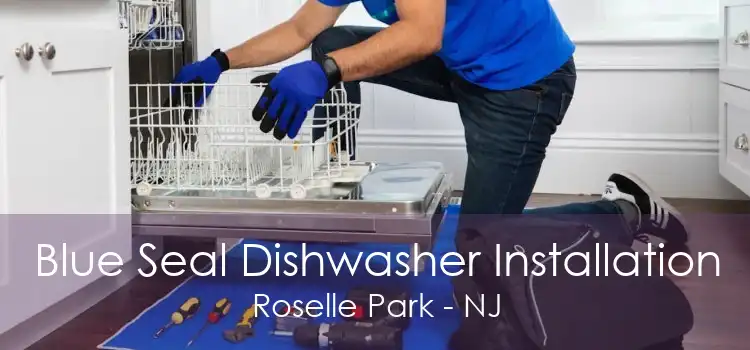 Blue Seal Dishwasher Installation Roselle Park - NJ