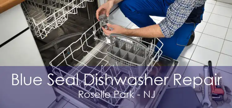 Blue Seal Dishwasher Repair Roselle Park - NJ