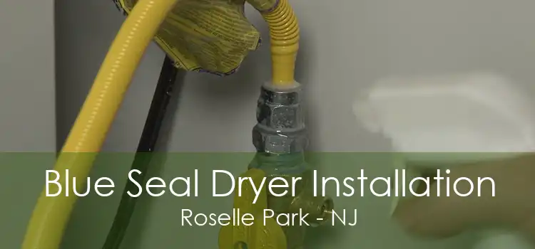 Blue Seal Dryer Installation Roselle Park - NJ