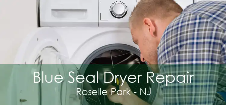 Blue Seal Dryer Repair Roselle Park - NJ