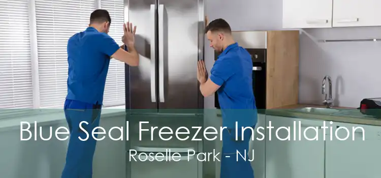 Blue Seal Freezer Installation Roselle Park - NJ