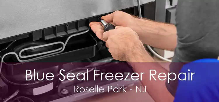 Blue Seal Freezer Repair Roselle Park - NJ