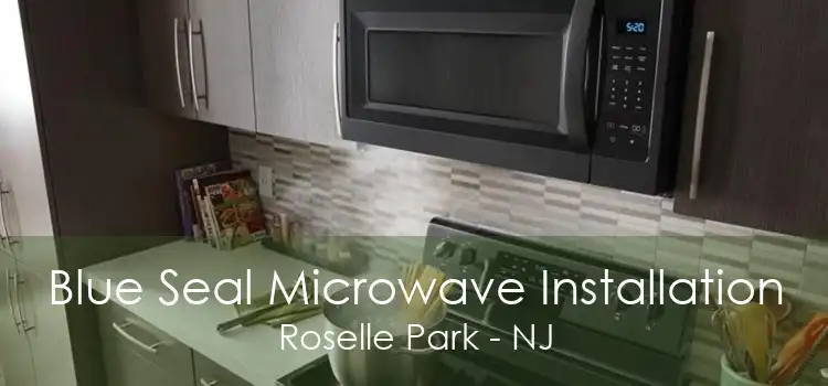 Blue Seal Microwave Installation Roselle Park - NJ