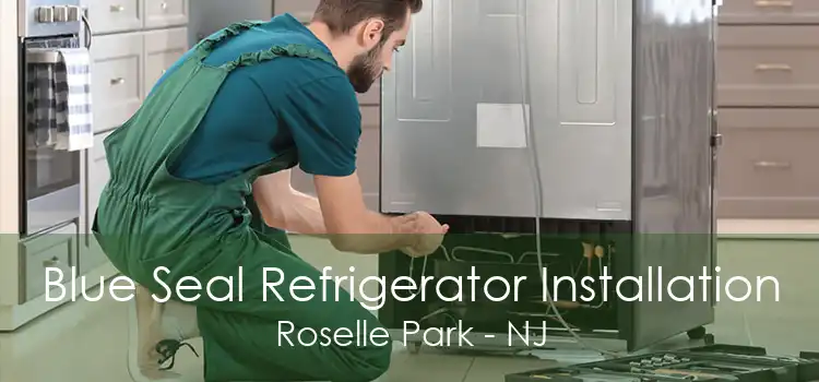 Blue Seal Refrigerator Installation Roselle Park - NJ