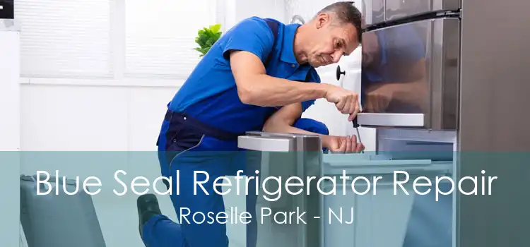 Blue Seal Refrigerator Repair Roselle Park - NJ