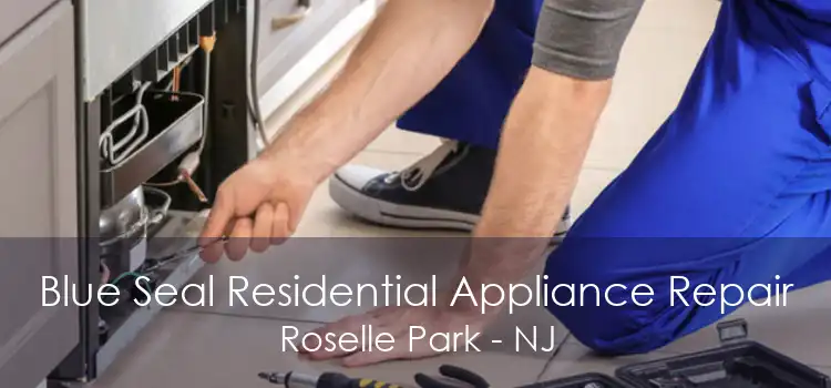 Blue Seal Residential Appliance Repair Roselle Park - NJ