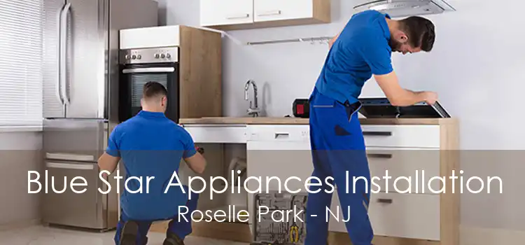 Blue Star Appliances Installation Roselle Park - NJ