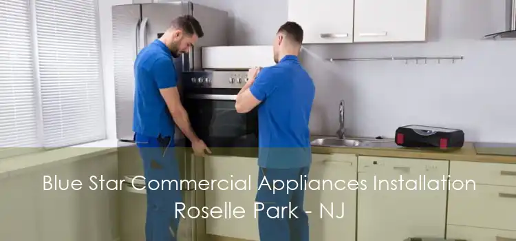 Blue Star Commercial Appliances Installation Roselle Park - NJ