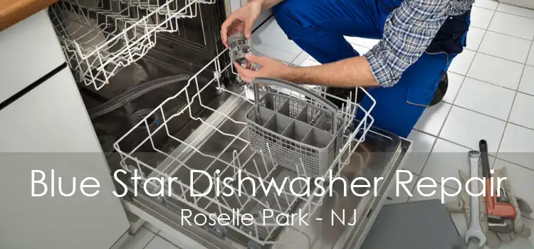 Blue Star Dishwasher Repair Roselle Park - NJ