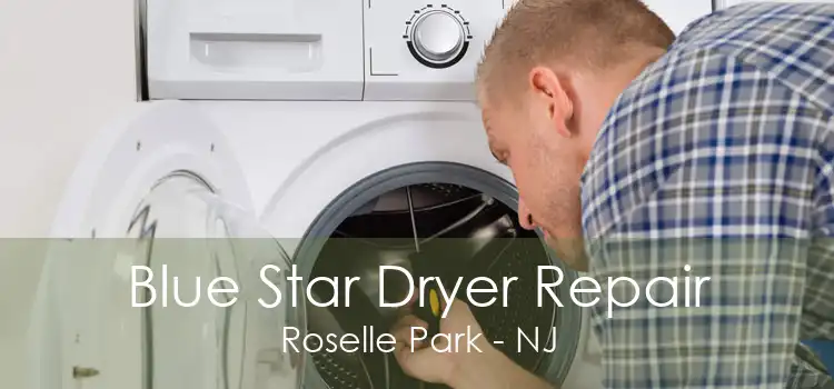 Blue Star Dryer Repair Roselle Park - NJ