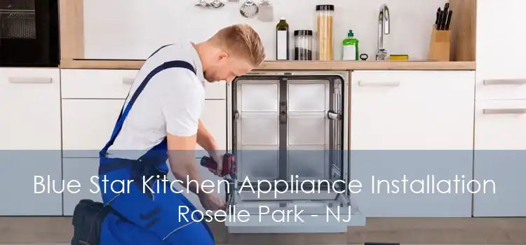 Blue Star Kitchen Appliance Installation Roselle Park - NJ