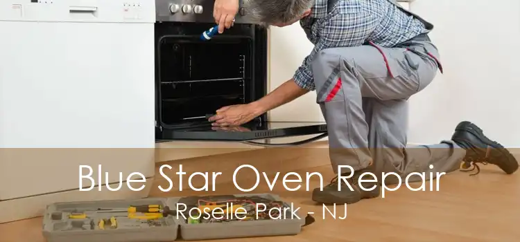 Blue Star Oven Repair Roselle Park - NJ