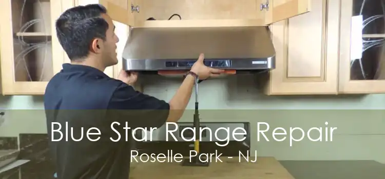 Blue Star Range Repair Roselle Park - NJ