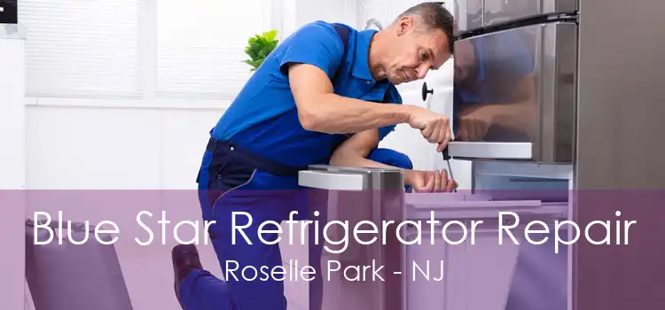 Blue Star Refrigerator Repair Roselle Park - NJ