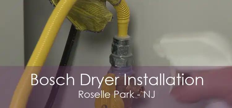 Bosch Dryer Installation Roselle Park - NJ