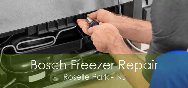 Bosch Freezer Repair Roselle Park - NJ