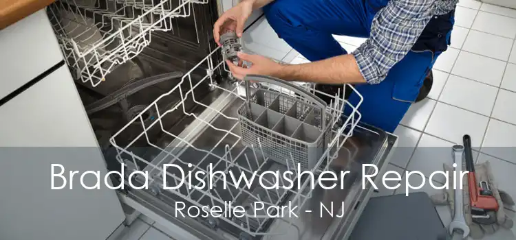 Brada Dishwasher Repair Roselle Park - NJ