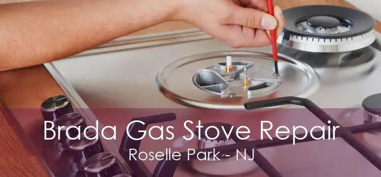 Brada Gas Stove Repair Roselle Park - NJ
