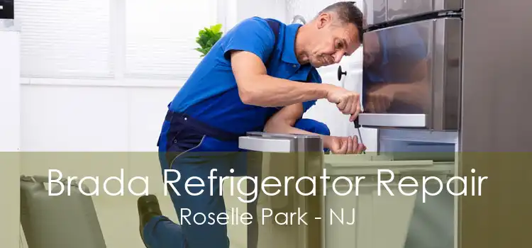 Brada Refrigerator Repair Roselle Park - NJ