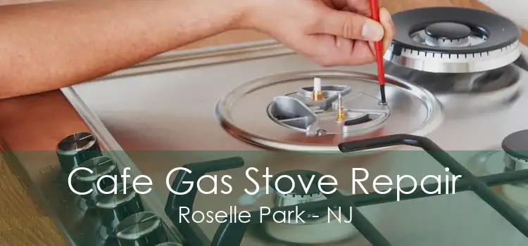 Cafe Gas Stove Repair Roselle Park - NJ