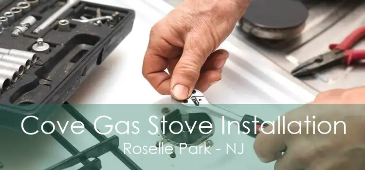 Cove Gas Stove Installation Roselle Park - NJ