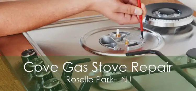 Cove Gas Stove Repair Roselle Park - NJ