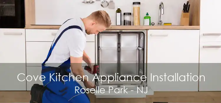 Cove Kitchen Appliance Installation Roselle Park - NJ