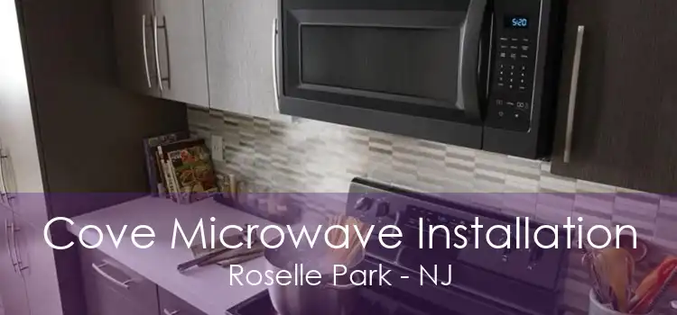 Cove Microwave Installation Roselle Park - NJ