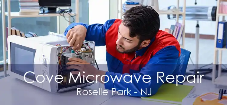 Cove Microwave Repair Roselle Park - NJ
