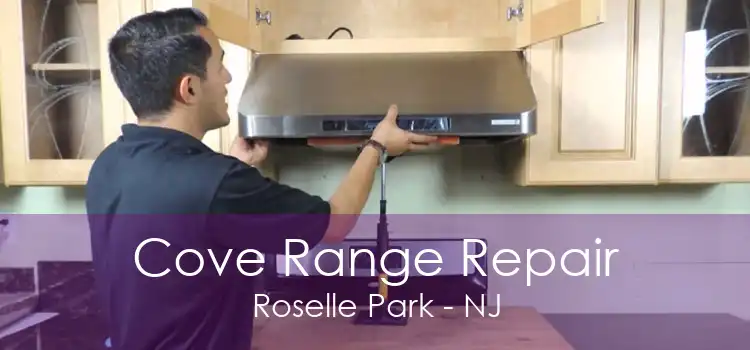 Cove Range Repair Roselle Park - NJ