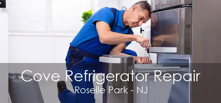 Cove Refrigerator Repair Roselle Park - NJ