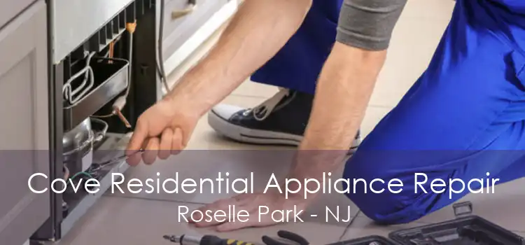 Cove Residential Appliance Repair Roselle Park - NJ