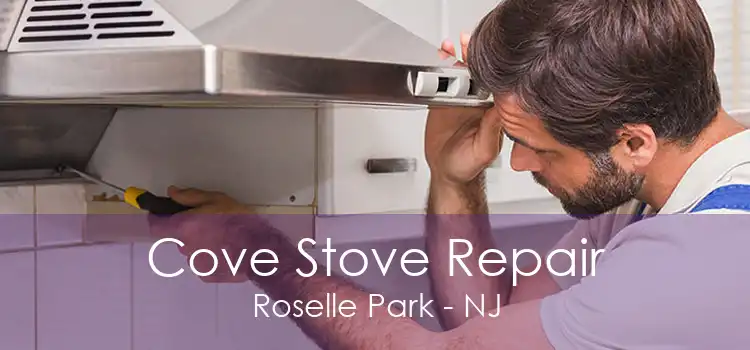 Cove Stove Repair Roselle Park - NJ