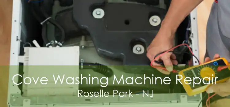 Cove Washing Machine Repair Roselle Park - NJ