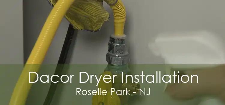 Dacor Dryer Installation Roselle Park - NJ