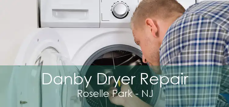 Danby Dryer Repair Roselle Park - NJ