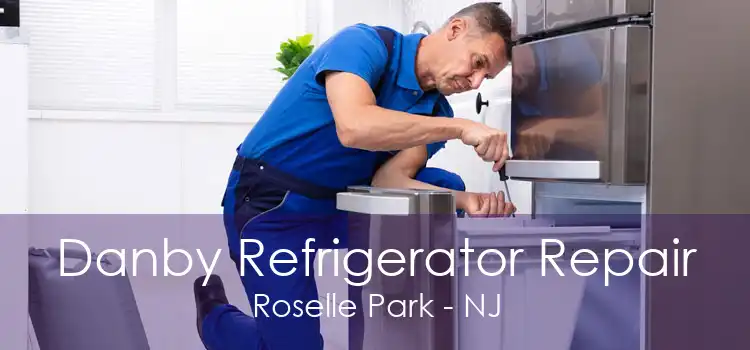 Danby Refrigerator Repair Roselle Park - NJ