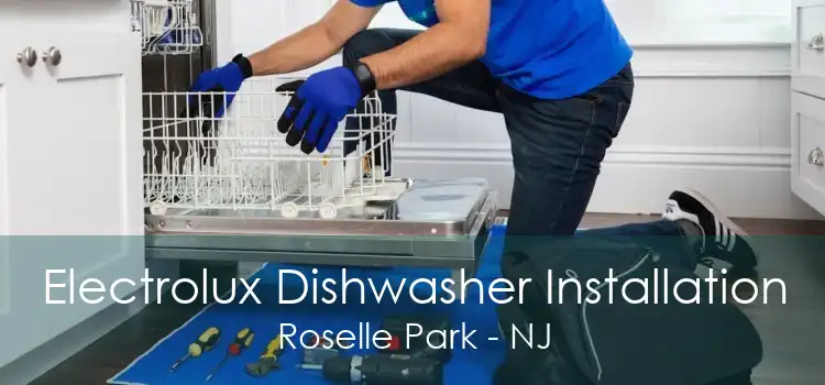 Electrolux Dishwasher Installation Roselle Park - NJ