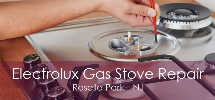 Electrolux Gas Stove Repair Roselle Park - NJ