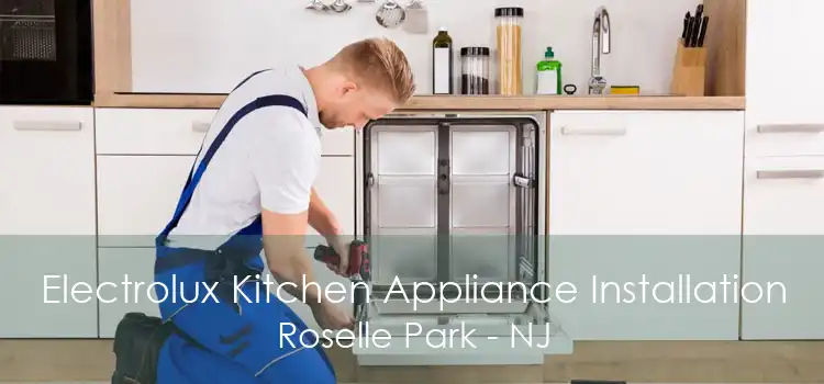 Electrolux Kitchen Appliance Installation Roselle Park - NJ